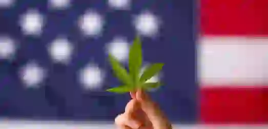 Screenshot-2024-12-11-094102